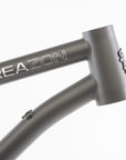 Reazon Blem